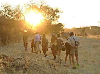 Meno a Kwena Camp: Walking Safari