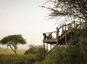 Oliver's Camp: Frühstücksdeck Oliver's Camp: Frühstücksdeck