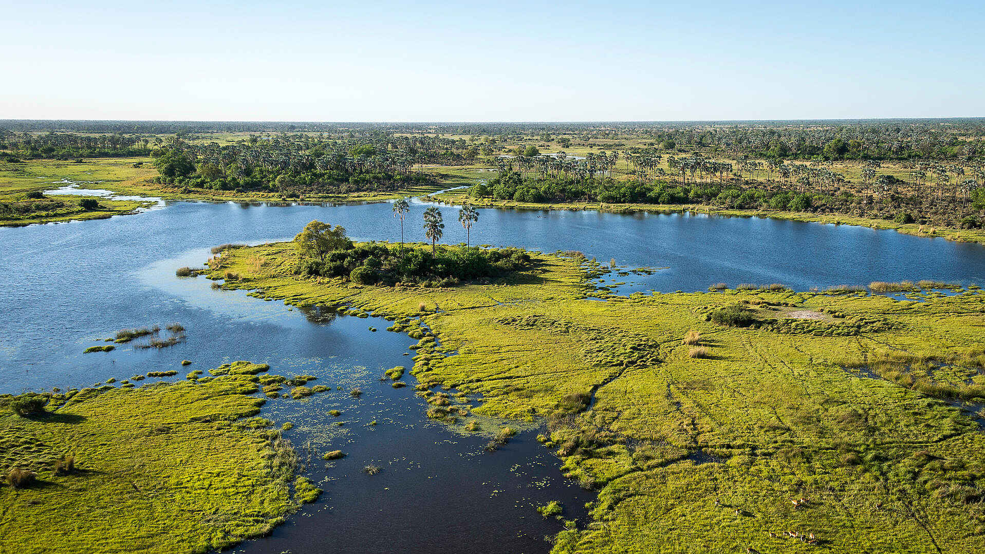 Qorokwe Camp: Im Delta Qorokwe Camp: Im Delta