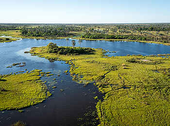 Qorokwe Camp: Im Delta