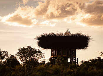 Segera Retreat: Blick auf das Bird Nest