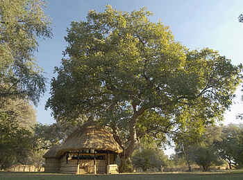 Tafika Camp: Garten mit Gästechalet