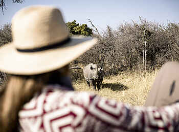 Chief's Camp: Nashorn-Begegnung
