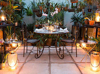 Giraffe Manor: Dinner im Orchideenhaus Giraffe Manor: Dinner im Orchideenhaus