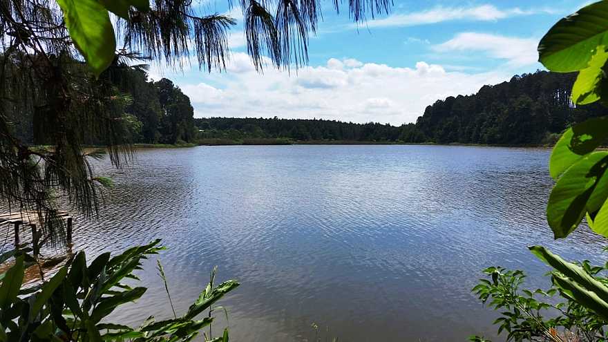 Luwawa Forest Lodge: Am Luwawa Damm Luwawa Forest Lodge: Am Luwawa Damm