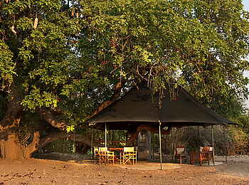 Mapazi Camp: Chitenje unter Sausage Tree