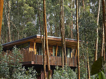 One and Only Gorilla's Nest: Gästesuite im Wald One and Only Gorilla's Nest: Gästesuite im Wald