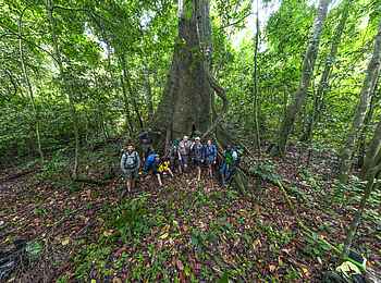 Sette Cama Eco Camp: Waldwanderung