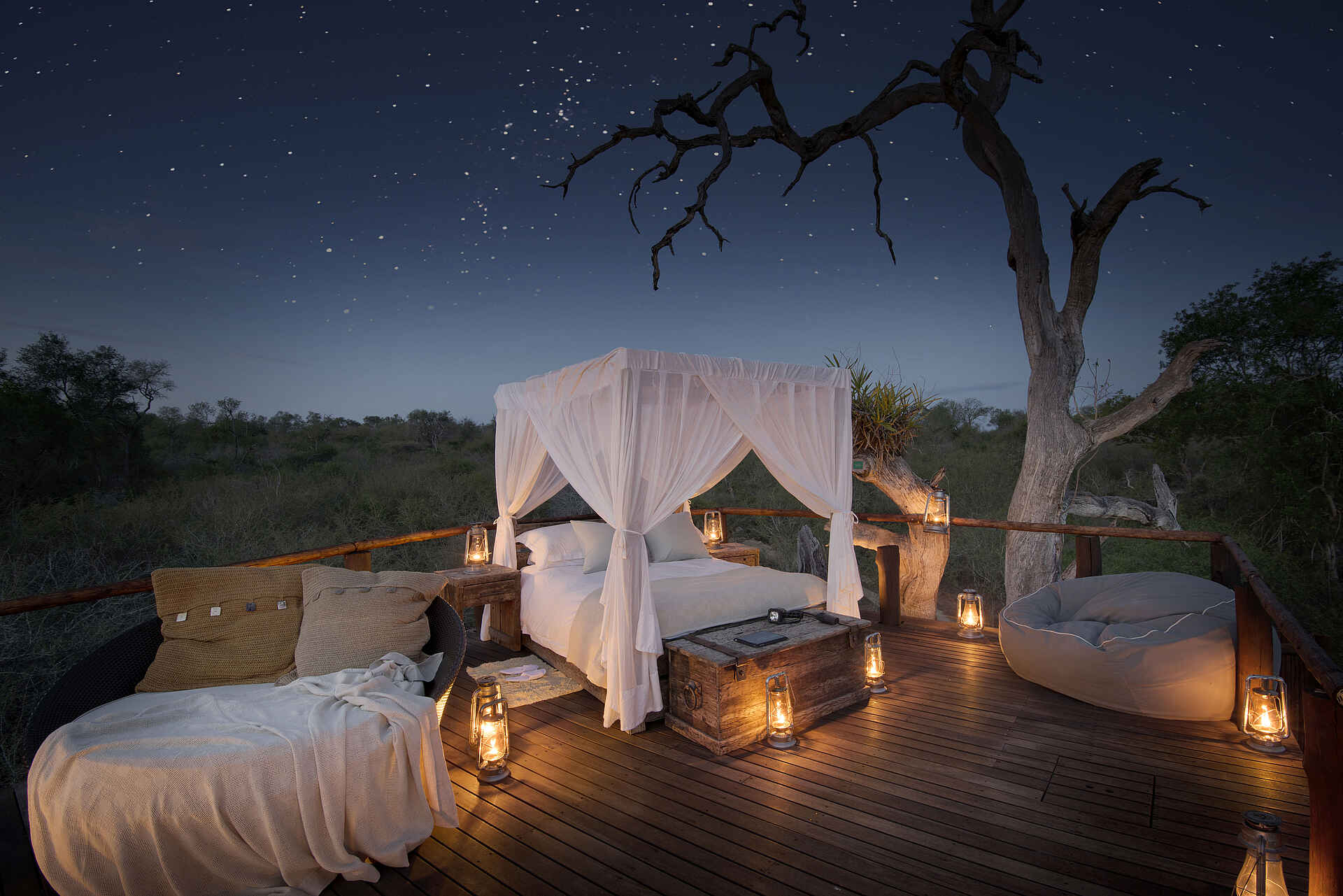 Lion Sands Chalkley Treehouse: Baumhaus bei Nacht Baumhaus, Chalkley, Chalkley Treehouse, Lion Sands, Lion Sands Chalkley Treehouse, Sabi Sands, Sabie, Tree House, Treehouse, Ambient, Bett, Doppelbett, Nachthimmel, Romantisch, Sterne, Stimmung, Afrikarma, Afrikarma Safaris, Afrikarma Safaris - Wildnis. Hautnah., Afrikarma.de