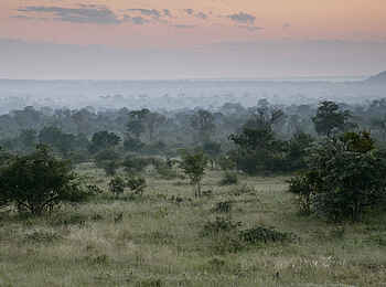 Londolozi Tree Camp: Naturpanorama