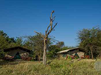 Mbuzi Mawe Serena Camp: Zwei Gästezelte Mbuzi Mawe Serena Camp: Zwei Gästezelte