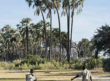 Nxabega Okavango Tented Camp: Picknick im Delta