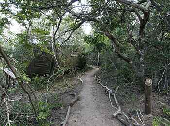 Rocktail Beach Camp: Zugang zu einem Gästechalet