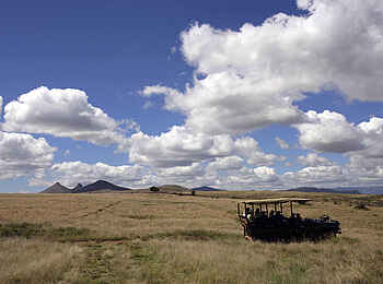 Samara Karoo Lodge: Game Drive