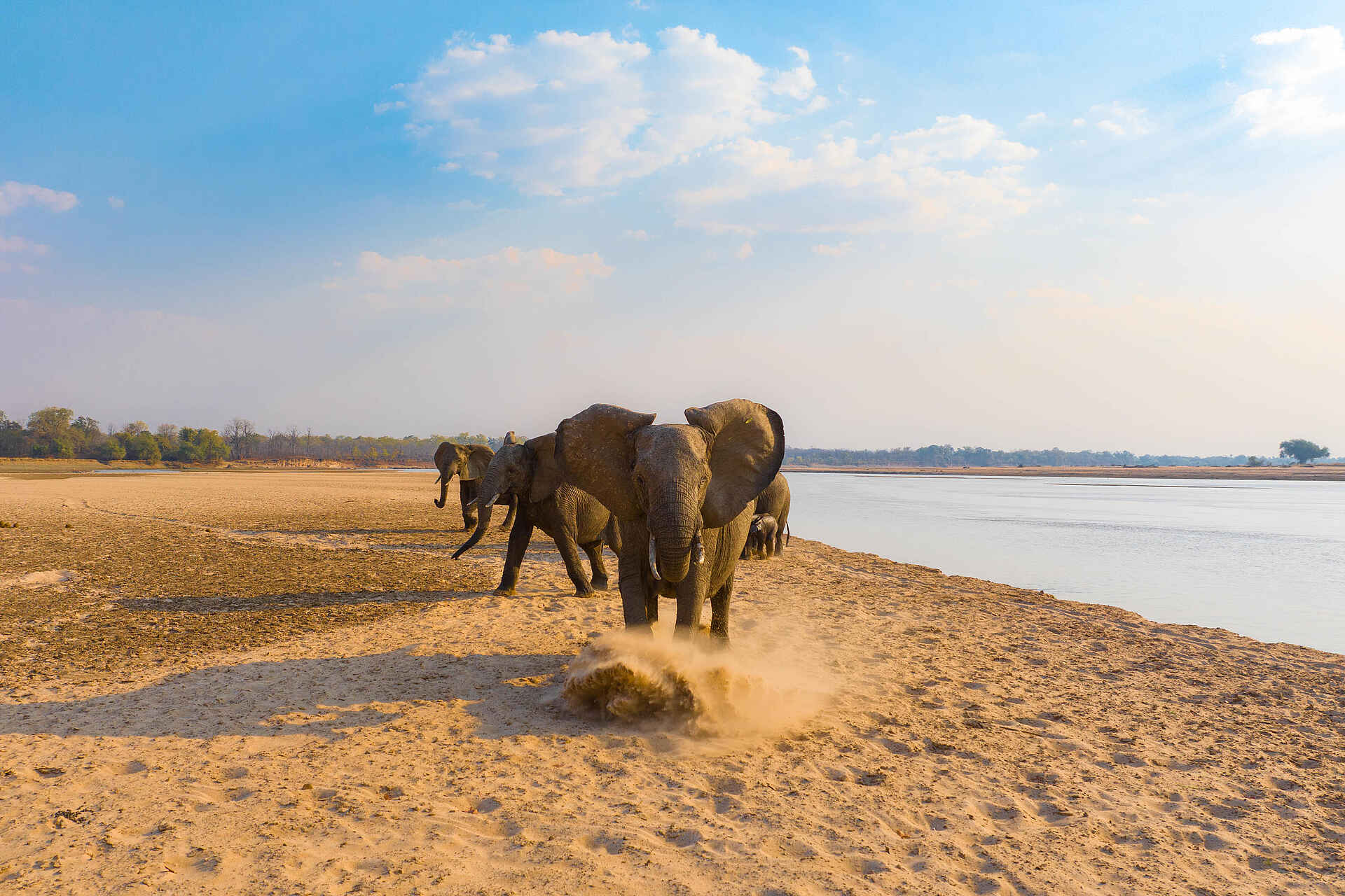 Sanguni Safari Lodge: Elefanten