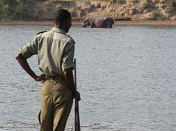 Tafika Camp: Game Scout