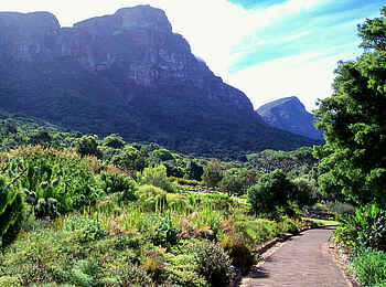 The Cellars-Hohenort Hotel & Spa: Kirstenbosch The Cellars-Hohenort Hotel & Spa: Kirstenbosch