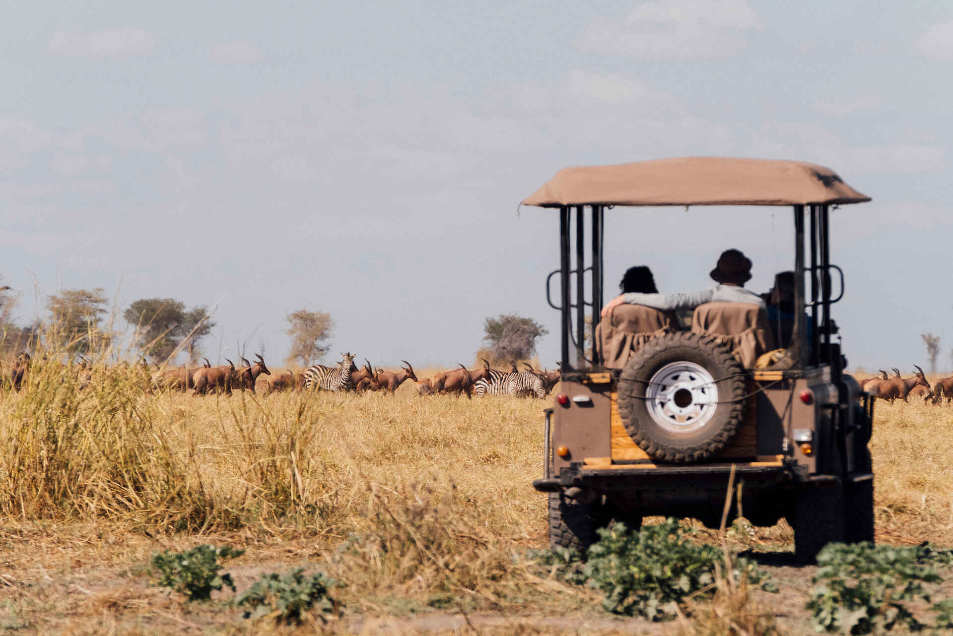 Usangu Expedition Camp: Game Drive