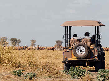 Usangu Expedition Camp: Game Drive Usangu Expedition Camp: Game Drive