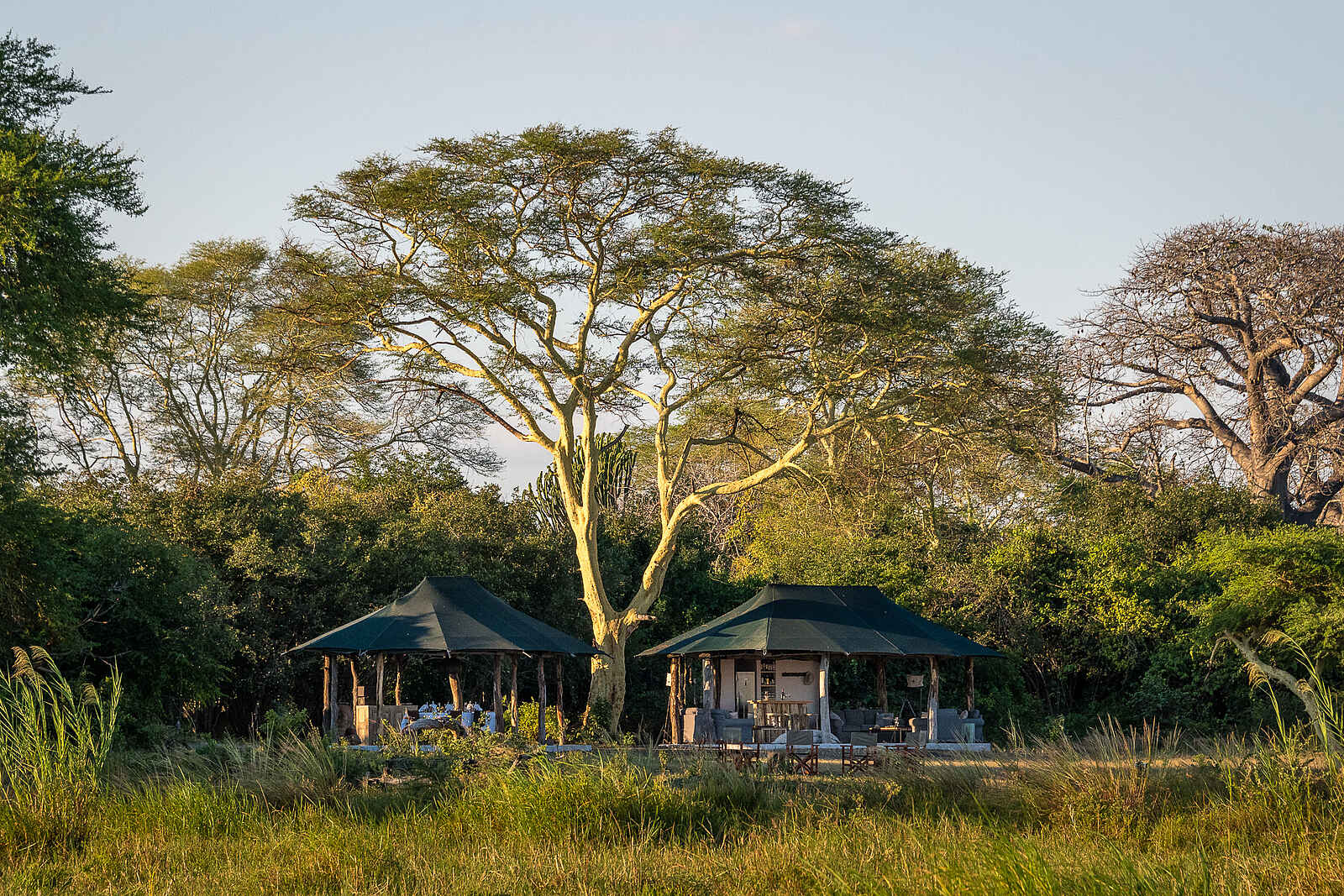 Kuthengo Camp: Morgensonne Kuthengo Camp: Morgensonne
