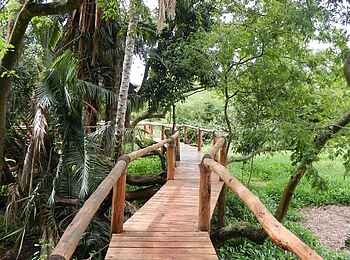 Ruzizi Tented Lodge: Alle Zelte und die zentralen Einrichtungen sind durch Bohlenwege miteinander verbunden