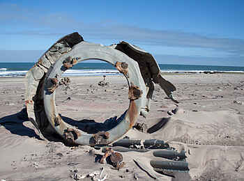 Shipwreck Lodge: Schiffswrack Shipwreck Lodge: Schiffswrack