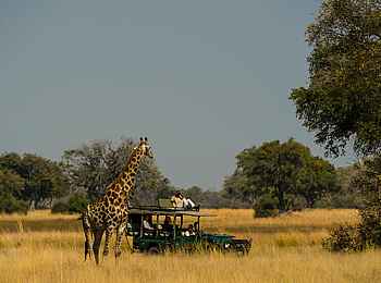 Duke´s Camp: Gamedrive mit Giraffe