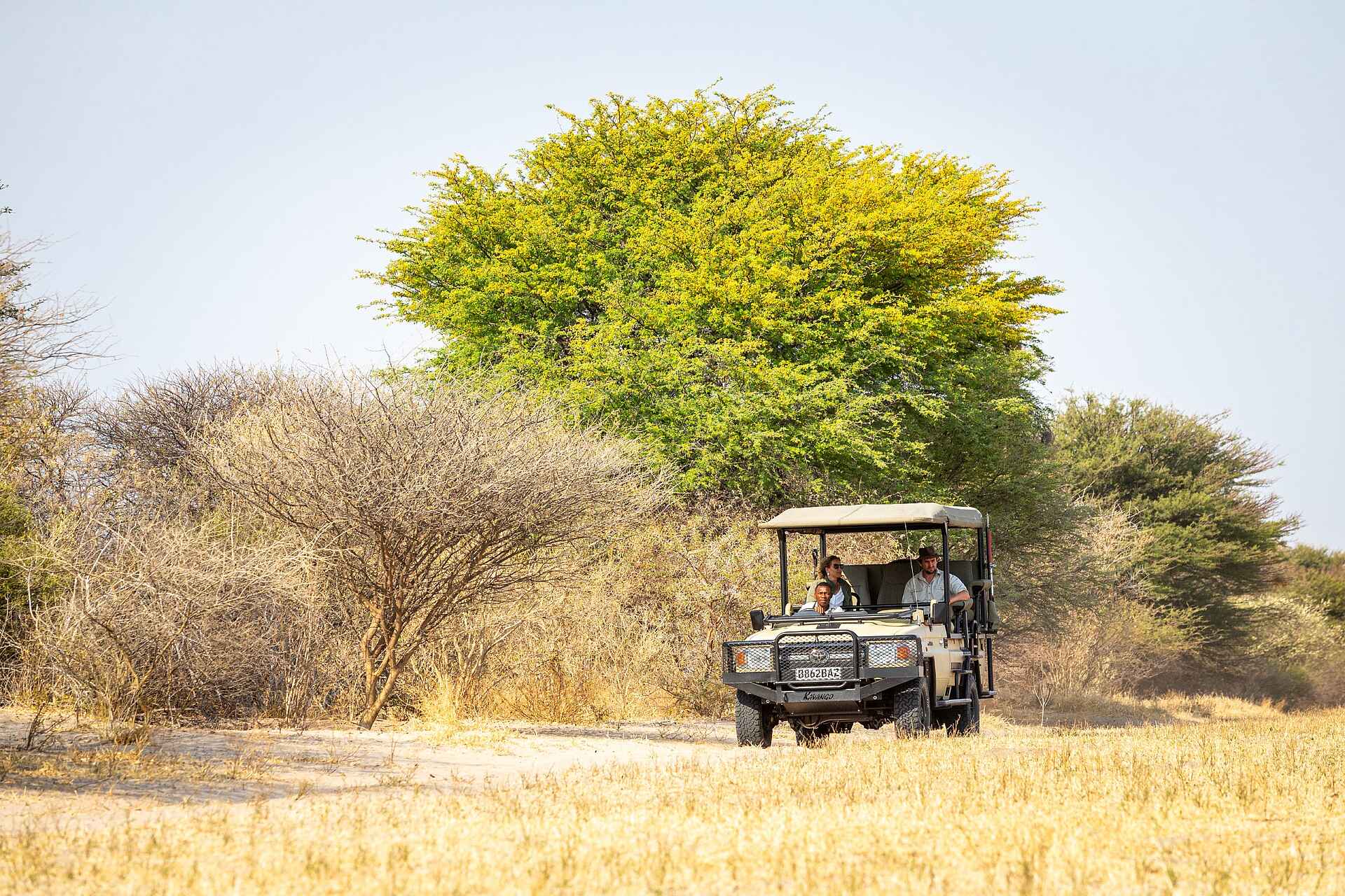 Evolve Back Gham Dhao Lodge: Pirschfahrt Evolve Back Gham Dhao Lodge: Pirschfahrt