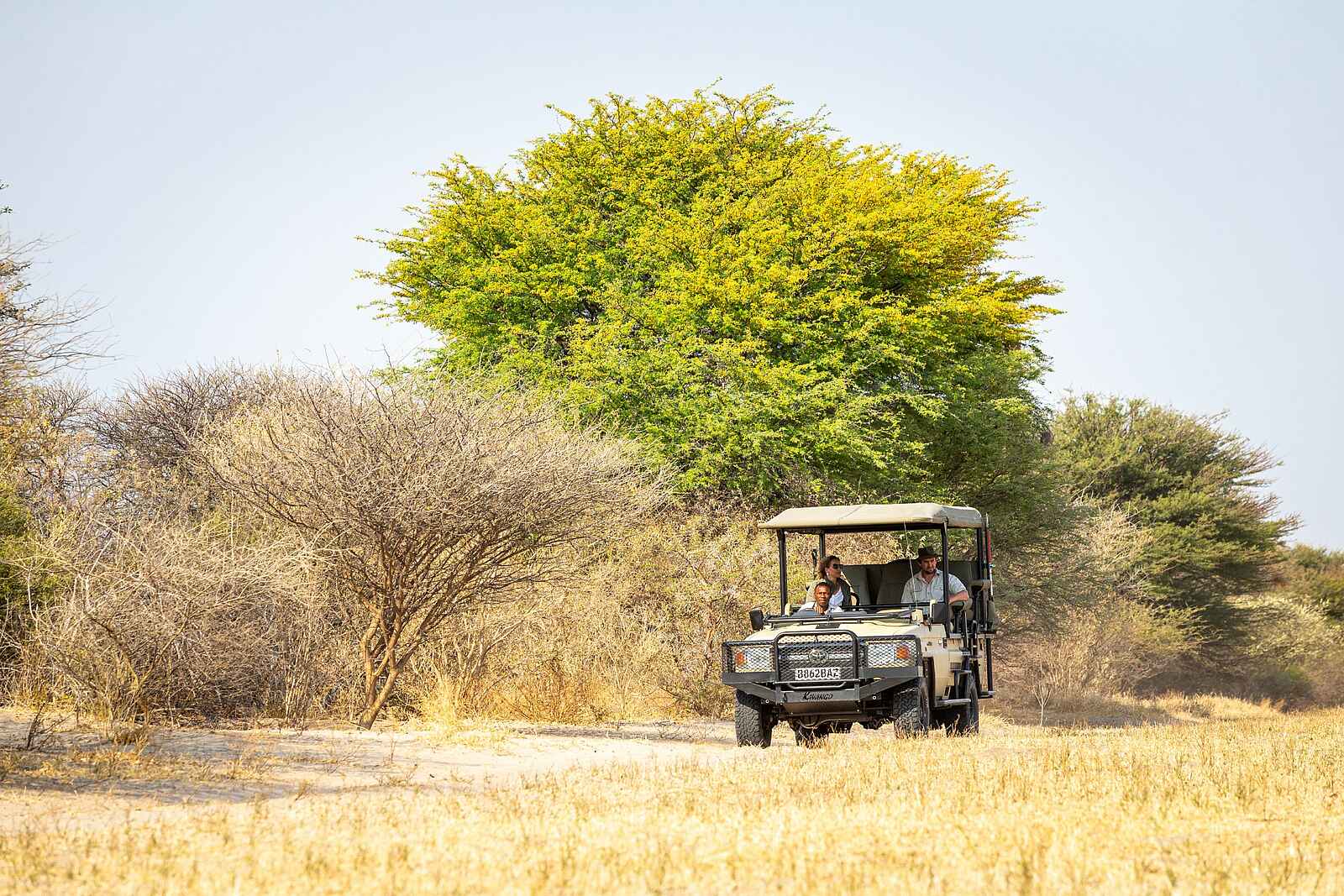 Evolve Back Gham Dhao Lodge: Pirschfahrt Evolve Back Gham Dhao Lodge: Pirschfahrt