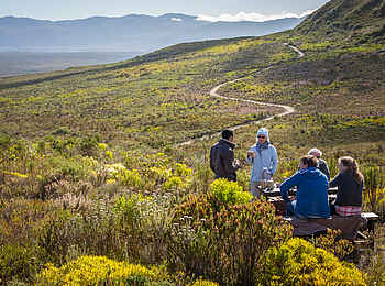 Grootbos Garden Lodge: Beim Picknick Grootbos Garden Lodge: Beim Picknick