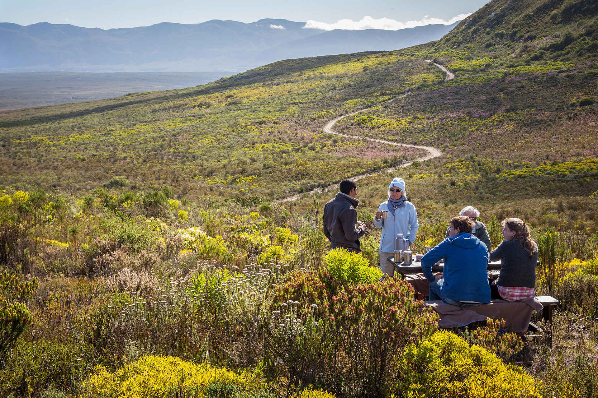 Grootbos Garden Lodge: Beim Picknick