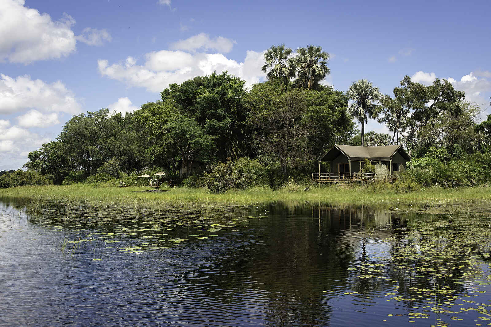 Jacana Camp: Blick zur Insel Jacana Camp: Blick zur Insel