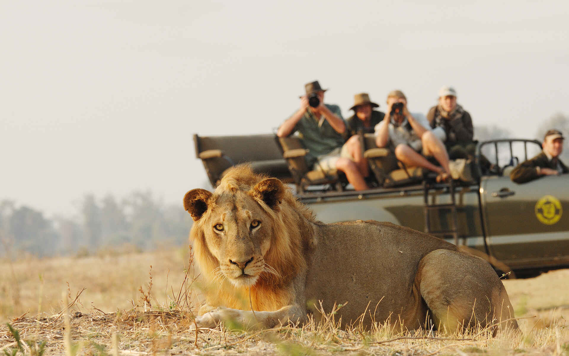 Hides, Kaingo Camp, Luangwa River, Nsefu Sector, Observation Hides, Shenton Safaris, South Luangwa National Park, Game Drive, Löwe, Löwen, Pirschfahrt, Derek Shenton, Professional Guides