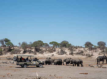 Meno a Kwena Camp: Game Drive