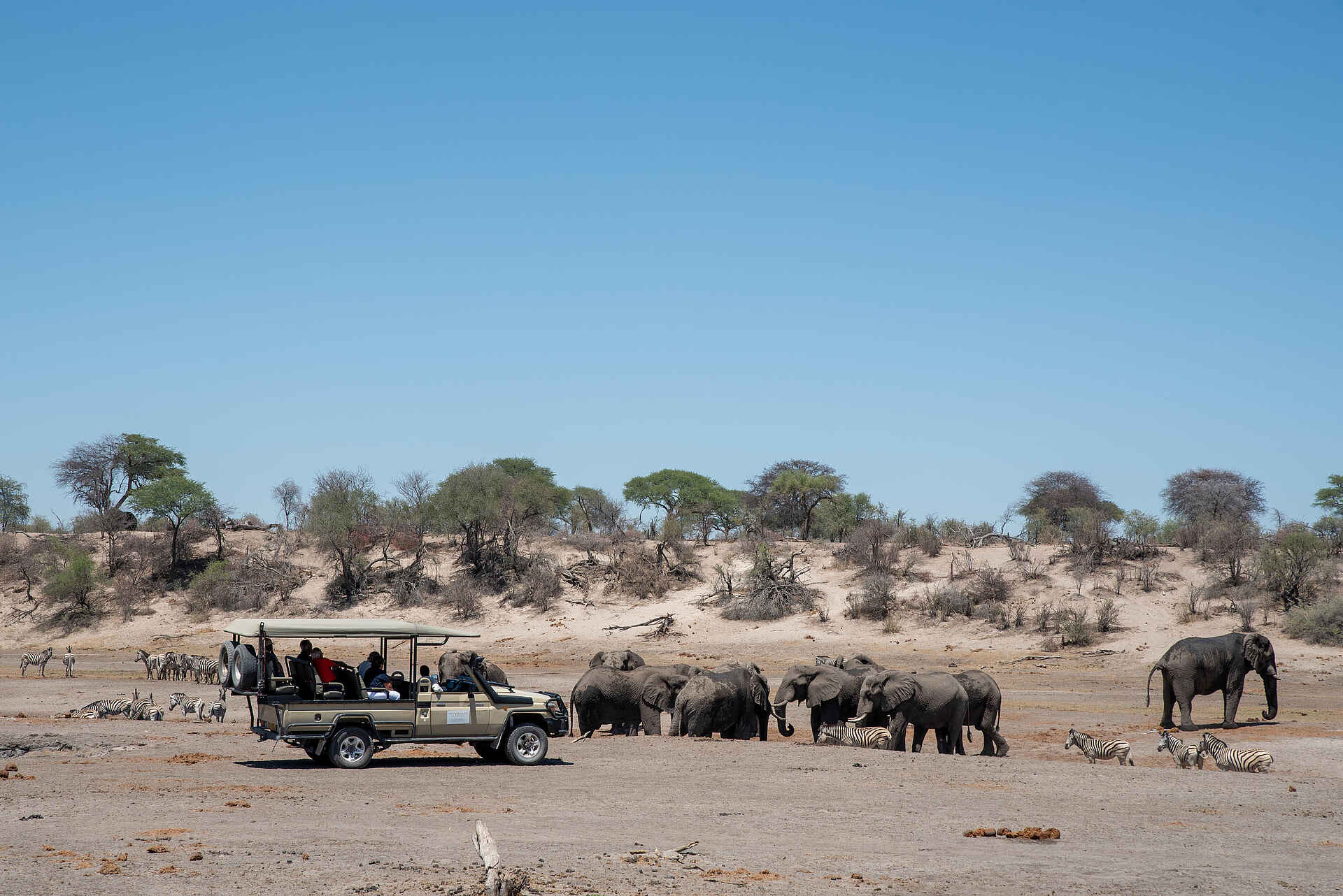 Meno a Kwena Camp: Game Drive
