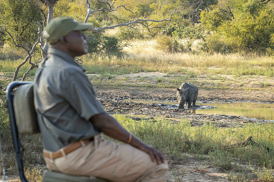 Mohlabetsi Safari Lodge: Begegnung mit einem Nashorn Mohlabetsi Safari Lodge: Begegnung mit einem Nashorn
