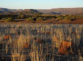 Palmwag Lodge: Landschaft im Damaraland