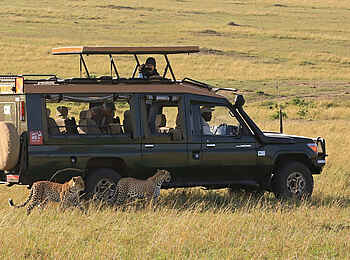 Soroi Lions Bluff Lodge: Leoparden auf Safari entdecken