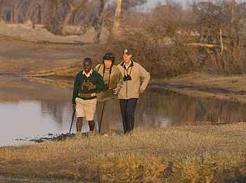 The Hide: Walk am Wasserloch vor der Lodge The Hide: Walk am Wasserloch vor der Lodge