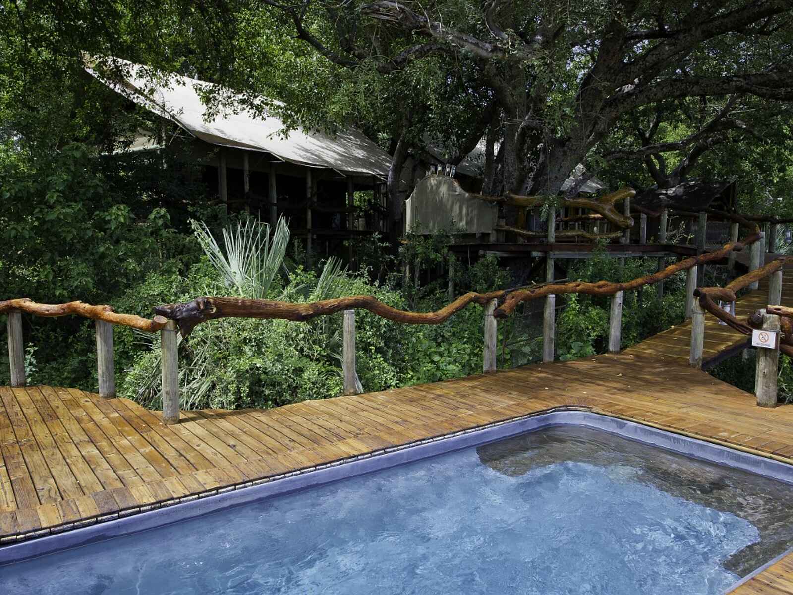 Tubu Tree: Swimming Pool Tubu Tree: Swimming Pool