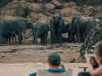 Wayo Manyara Green Camp: Elefantenbeobachtung