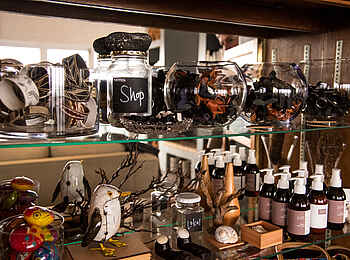 Whalesong Lodge: Shop für kleine Andenken Whalesong Lodge: Shop für kleine Andenken