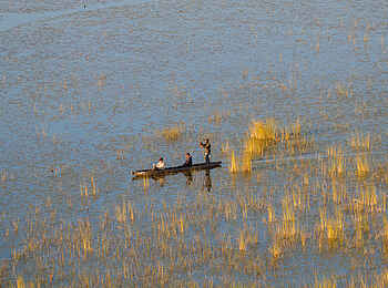 Belmond Eagle Island Lodge: Mokoro von oben Belmond Eagle Island Lodge: Mokoro von oben