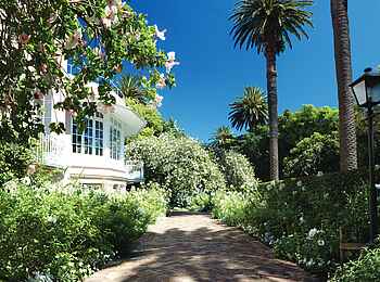 Belmond Mount Nelson Hotel: Blüten