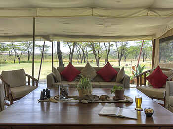 Kicheche Bush Camp: Große Fenster