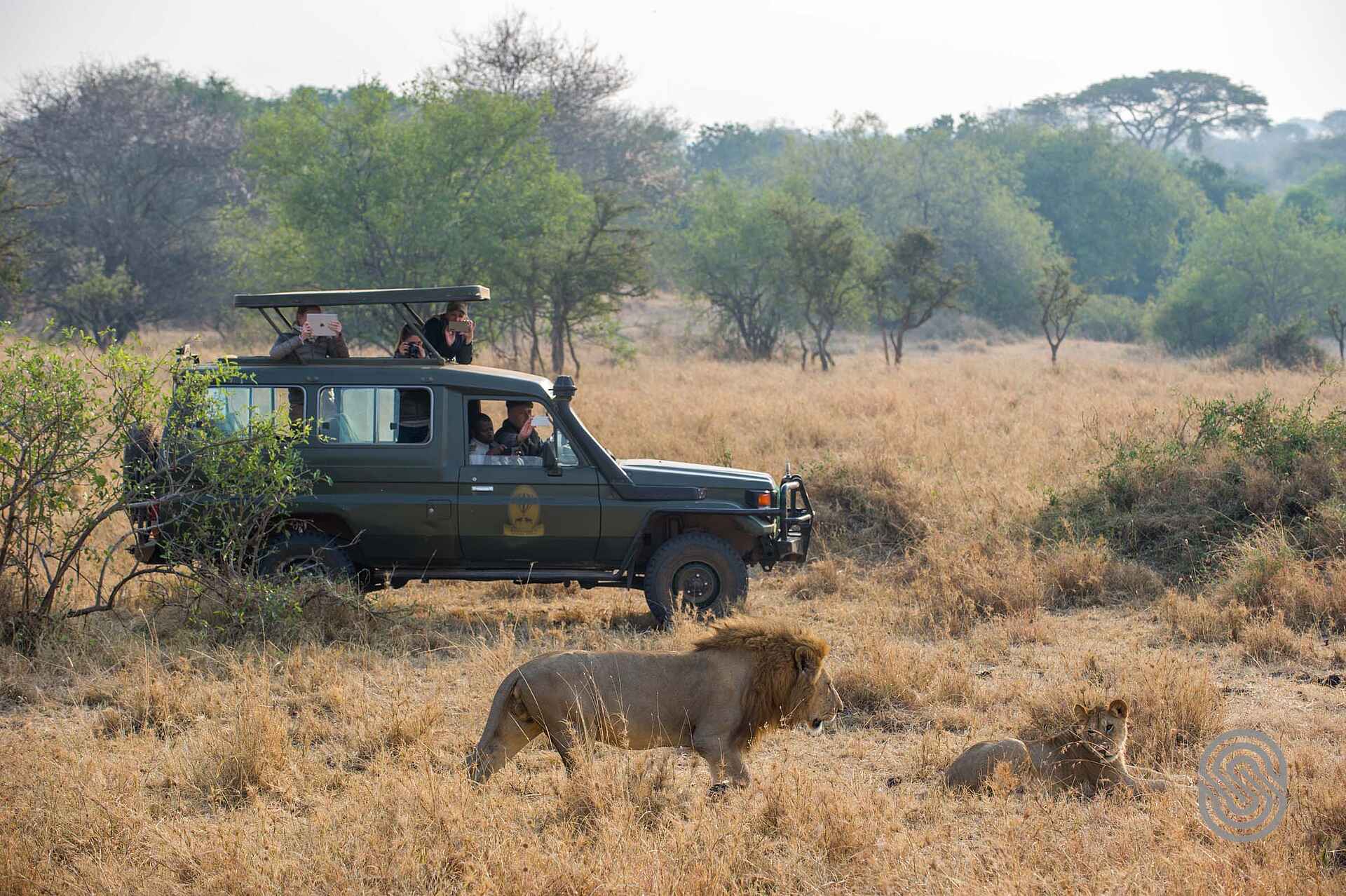 afrikarma, afrikarma Safaris, afrikarma.de, Grumeti, Grumeti River, Kirawira Serena Camp, Safari, Serena Hotels, Serengeti, Game Drive, Geländefahrzeug, Löwen, Afrikarma Safaris - Wildnis. Hautnah.