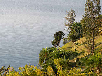 Lux Lake Kivu Hotel: Blick über den Garten