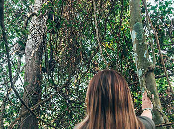 Mbali Mbali Mahale Lodge: Schimpansen beobachten