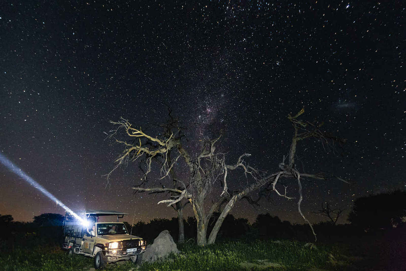 Mogothlo Safari Lodge: Eine Nachtpirschfahrt Mogothlo Safari Lodge: Eine Nachtpirschfahrt