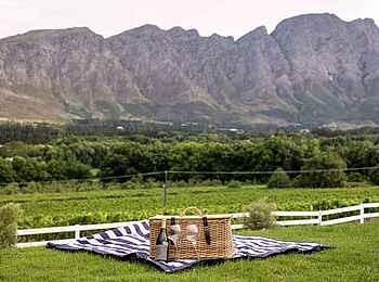 Mont Rochelle Hotel & Vineyard: Picknick Mont Rochelle Hotel & Vineyard: Picknick